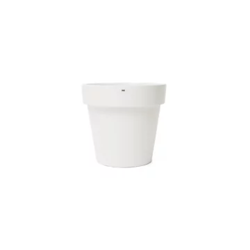 Classic 25 Studio - Bone